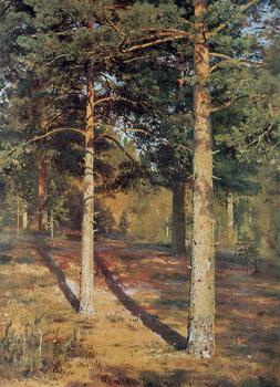 伊萬 希什金 The Sun lit Pines 伊萬 希什金 The Sun lit Pines